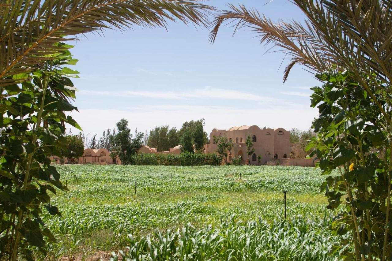 Tzila Bahariya Villa Bahariya Oasis Buitenkant foto