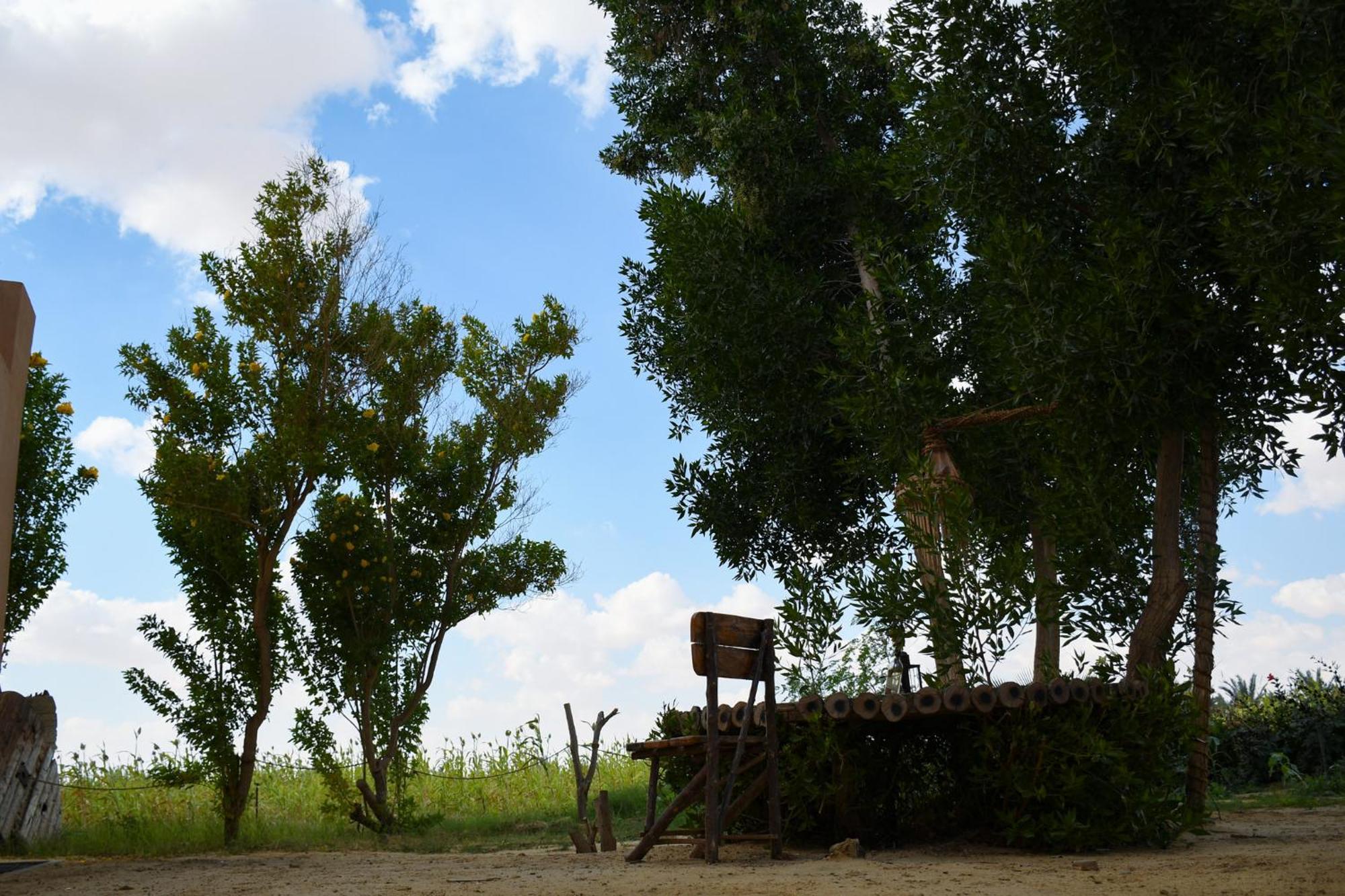 Tzila Bahariya Villa Bahariya Oasis Buitenkant foto